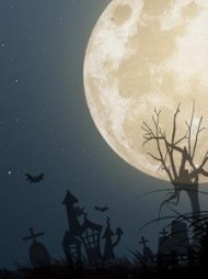 幽冥直播李薇阅读