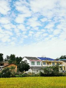 参加生活综艺，我捧杀爹味大厨