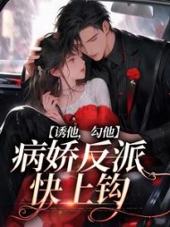 主角是苏枝陆时与的