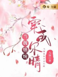 当魏嬿婉穿成尔晴精彩小说阅读