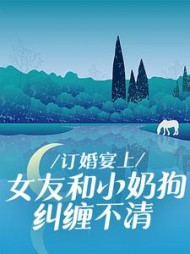 主角是岳琪白琛的