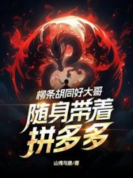 柳条胡同好大哥，随身带着拼多多