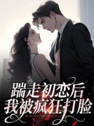 主角是苏景禾黎嘉烁的