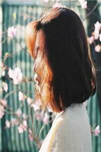 《本王已死》作者：浩然天风小说阅读